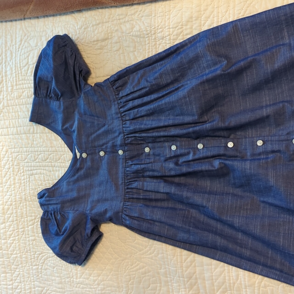Chambray Dress